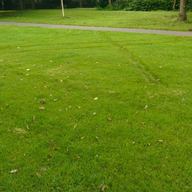 Januar | 2016 | Kunstprofil der GSO